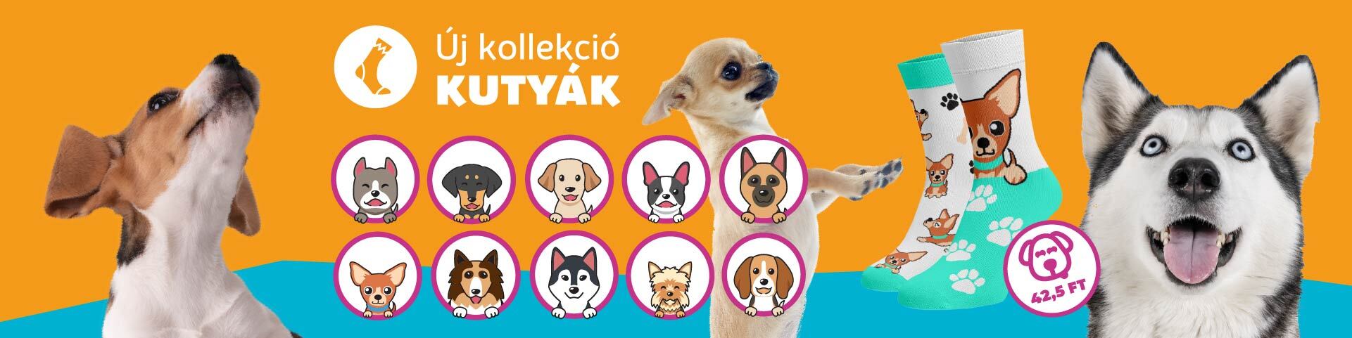 Kutya zokni kollekció