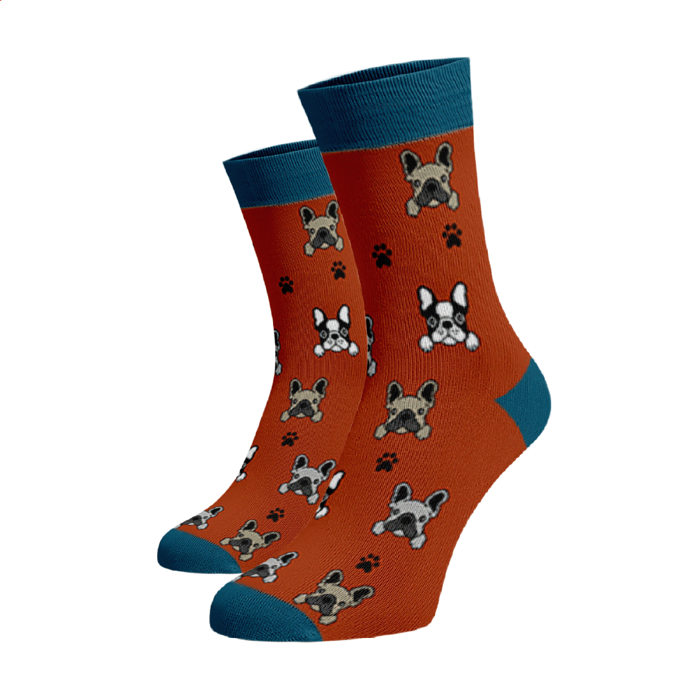 Veselé ponožky Buldoček Oranžová Bavlna 39-41